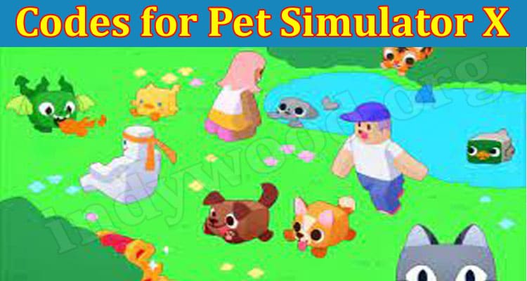 Codes For Pet Simulator X (July) Know The Steps Below!