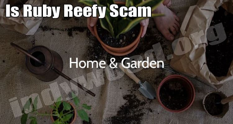 Is Ruby Reefy Scam (July) Read Post Before Shopping Here