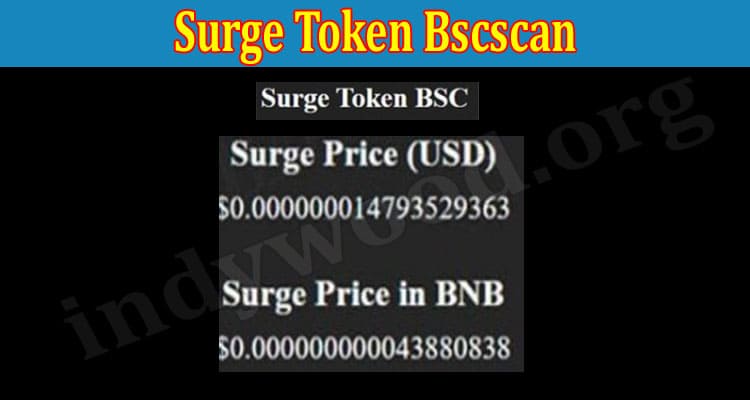 Surge Token Bscscan (Aug) Let Us Check The Exact Values!