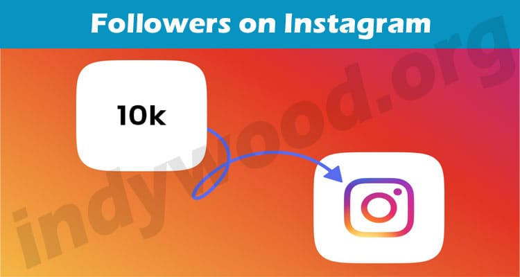 Latest News Followers on Instagram