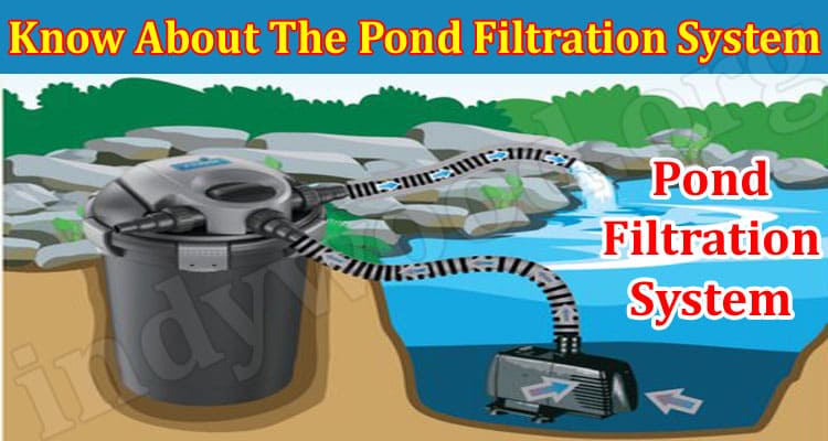 Know About The Pond Filtration System