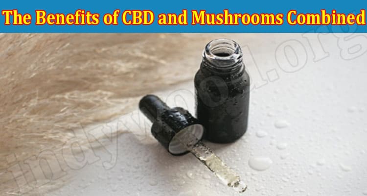 The Benefits of CBD and Mushrooms Combined