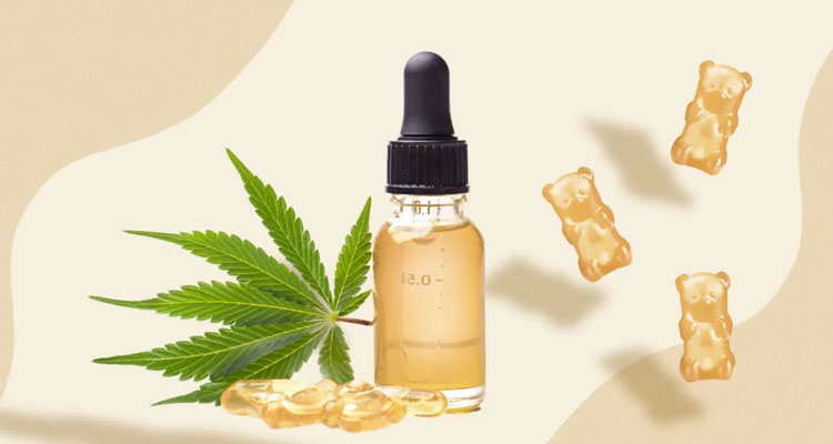 Write for Us CBD Guest Post