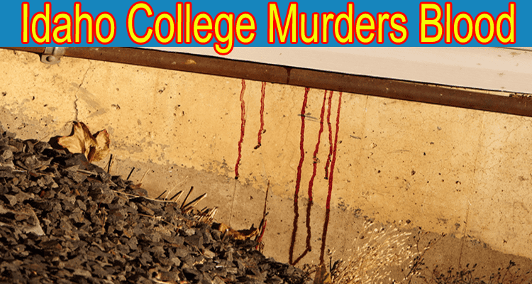 Idaho-College-Murders-Blood