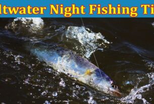 Complete Information About Saltwater Night Fishing Tips