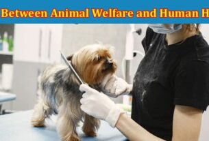 Complete Information About The Link Between Animal Welfare and Human Health