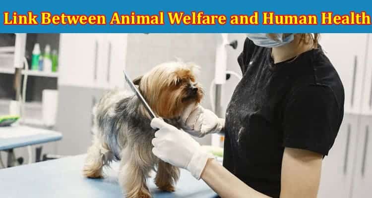 Complete Information About The Link Between Animal Welfare and Human Health